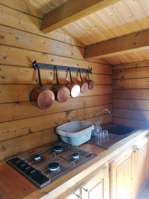 Chalet En Pleine Nature Au Bord D'Un Etang Lanvallay Buitenkant foto