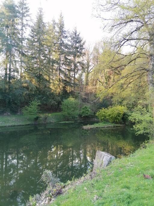 Chalet En Pleine Nature Au Bord D'Un Etang Lanvallay Buitenkant foto