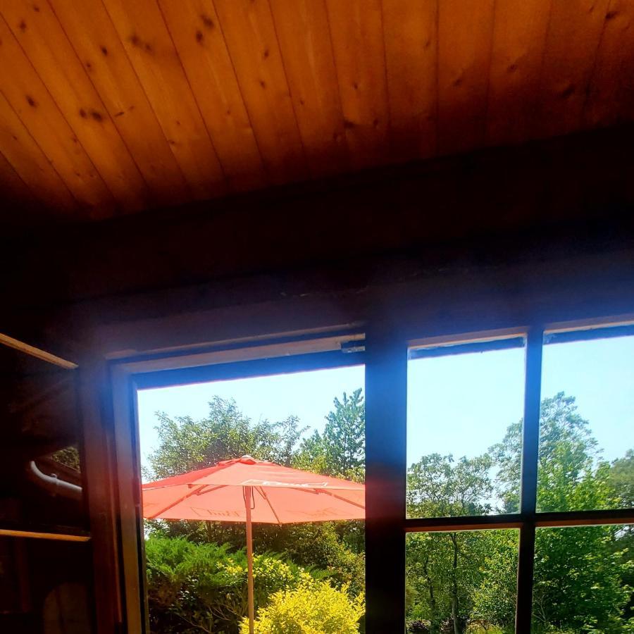 Chalet En Pleine Nature Au Bord D'Un Etang Lanvallay Buitenkant foto